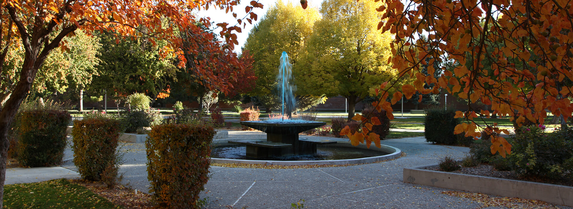 CSI Bell Tower above the trees. Leaves on the trees are turning orange because it is fall. 