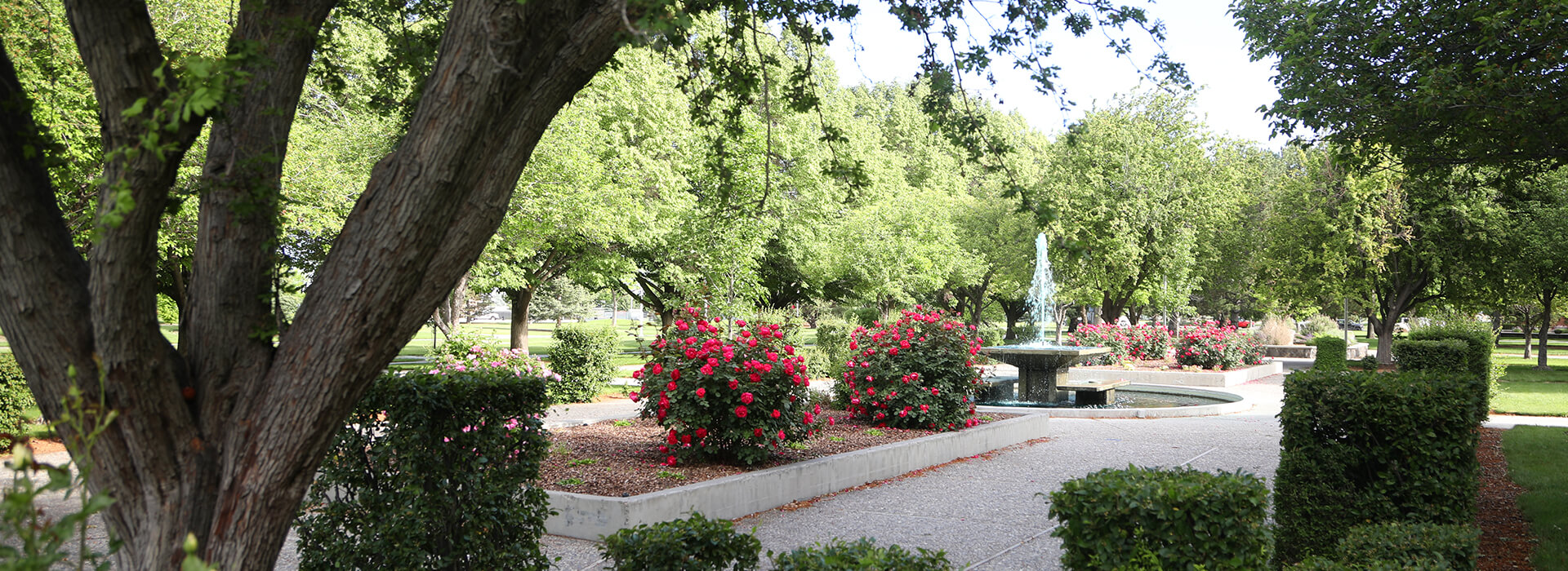 CSI Fountain Plaza surrounded by lush green trees and bushes and flowers in bloom