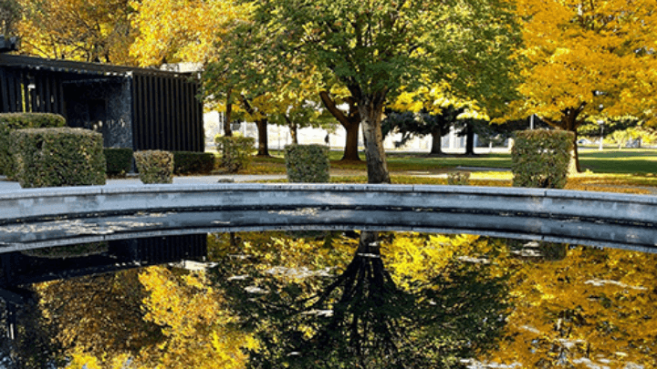 Picture of CSI fountain